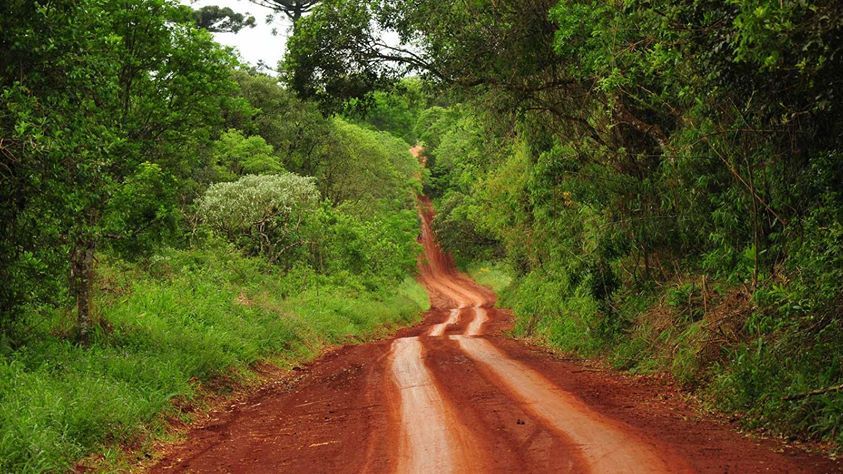 Image default